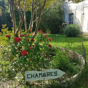 D'icard , Saintes-Maries-de-La-Mer Frankreich